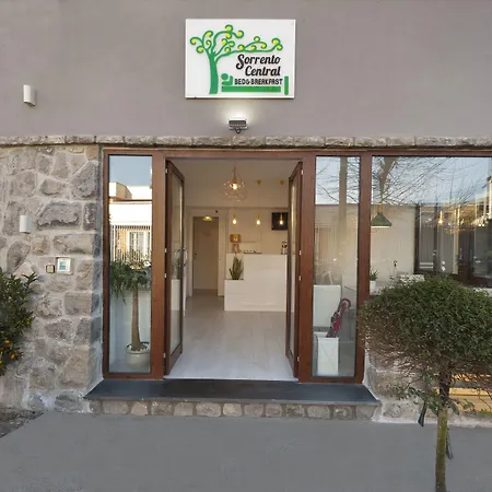 Отель B&B Sorrento Central 3*