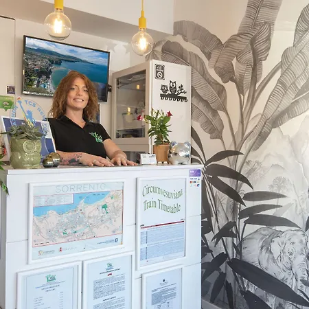 B&B Sorrento Central 3* Sorrento